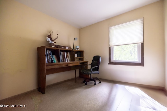 office space with carpet flooring
