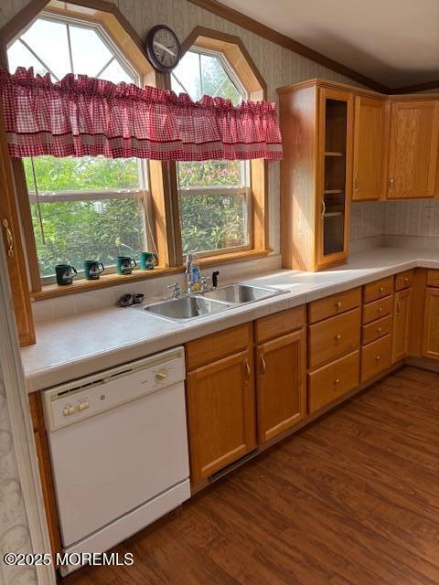 kitchen with dishwasher, a sink, dark wood-type flooring, light countertops, and glass insert cabinets