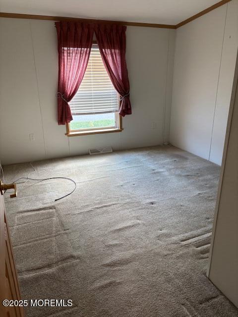 unfurnished room with ornamental molding and carpet flooring