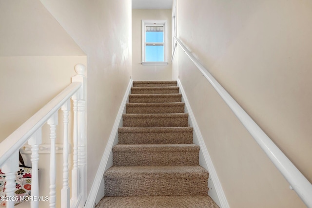 1255 W Mallard Dr, Stafford, NJ 08050 - stairway featuring carpet