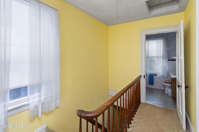 38 Bowne Ave, Freehold, NJ 07728 - staircase with a wainscoted wall, carpet floors, attic access, tile walls, and a textured ceiling