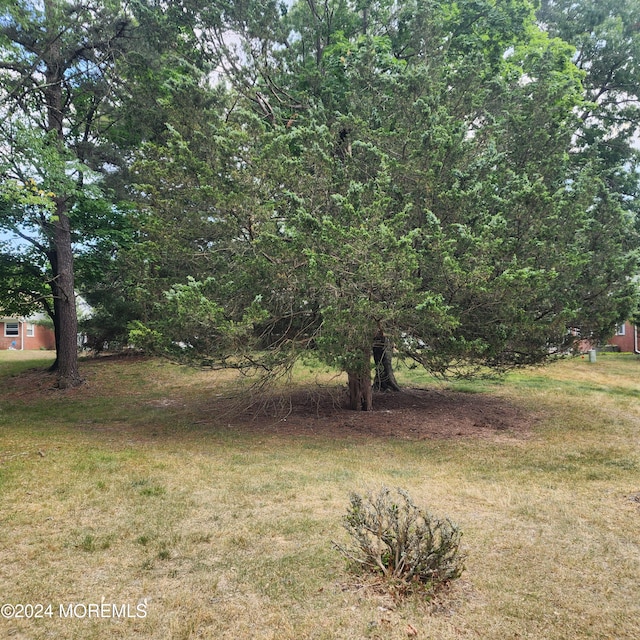 6 Conestoga Dr Unit C, Whiting, NJ 08759 - view of green lawn
