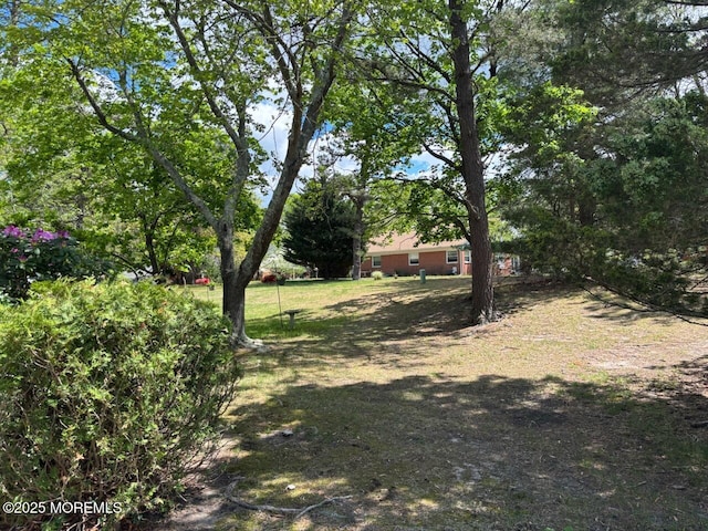 6 Conestoga Dr Unit C, Whiting, NJ 08759 - view of yard