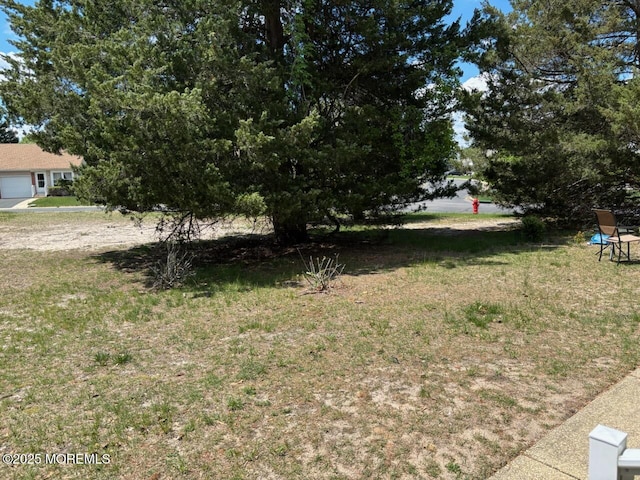 6 Conestoga Dr Unit C, Whiting, NJ 08759 - view of grassy yard