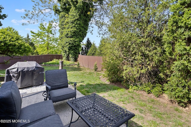 view of yard with a patio