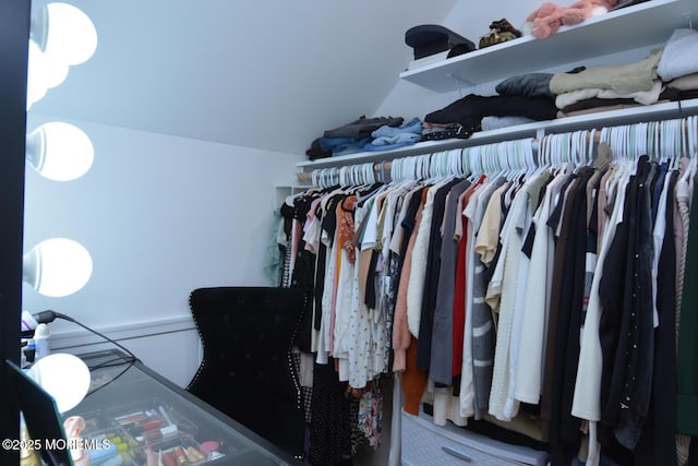 630 Springfield Ave, Pine Beach, NJ 08741 - spacious closet with vaulted ceiling