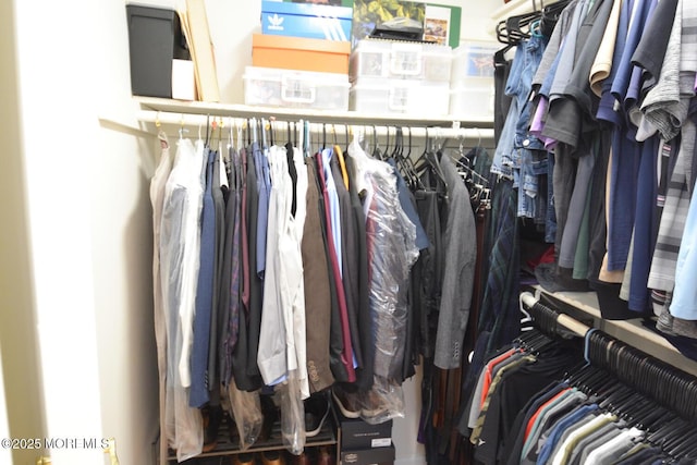 630 Springfield Ave, Pine Beach, NJ 08741 - view of spacious closet