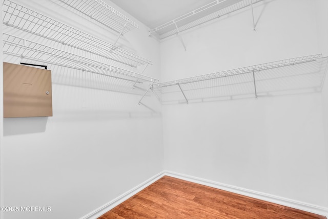 235 Prince Charles Ct, Toms River, NJ 08757 - walk in closet featuring wood finished floors