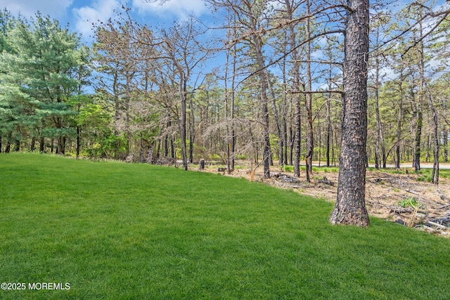 235 Prince Charles Ct, Toms River, NJ 08757 - view of grassy yard