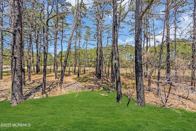 235 Prince Charles Ct, Toms River, NJ 08757 - view of grassy yard