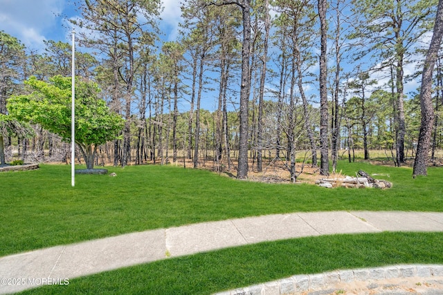 235 Prince Charles Ct, Toms River, NJ 08757 - view of grassy yard