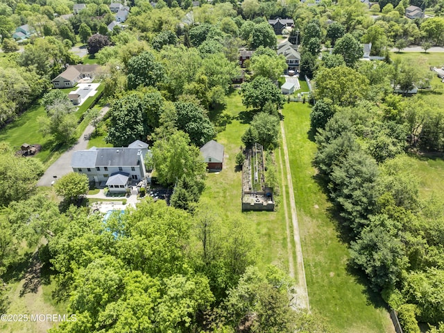 drone / aerial view