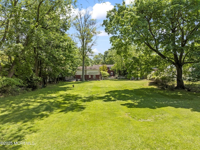 view of grassy yard