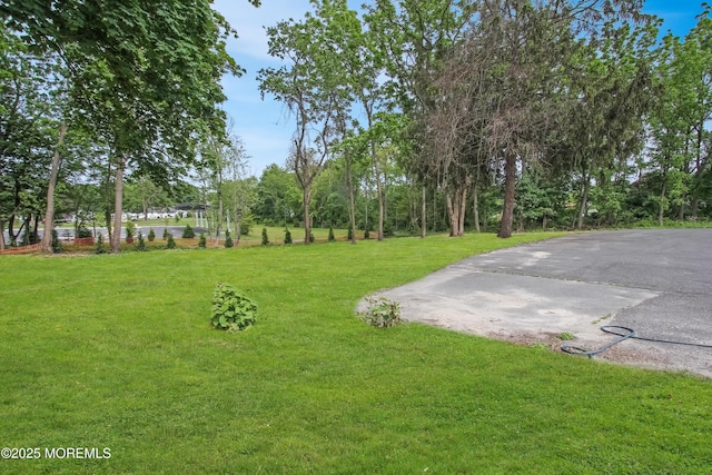 2920 W Bangs Ln, Neptune Township, NJ 07753 - view of green lawn