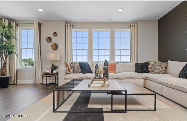 living area featuring wood finished floors, baseboards, and recessed lighting