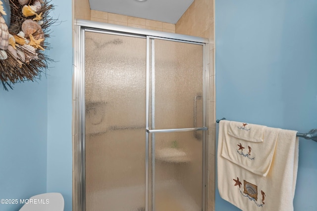 bathroom with a shower stall and toilet