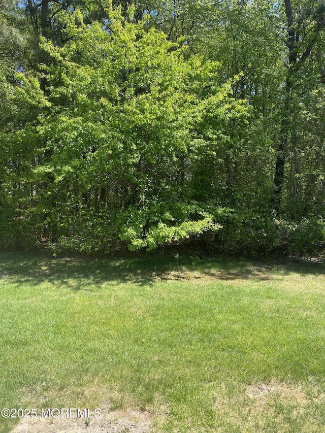 29 S Sailors Quay Dr Unit 405, Brick, NJ 08723 - view of grassy yard