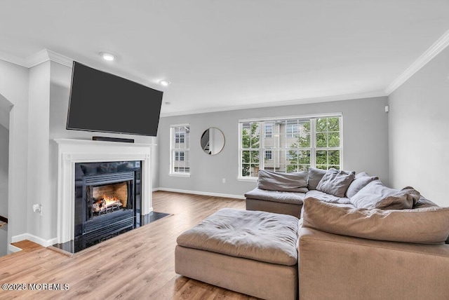 3 Kuczynski Dr Unit 944, Parlin, NJ 08859 - living room with crown molding, a fireplace with flush hearth, wood finished floors, baseboards, and recessed lighting
