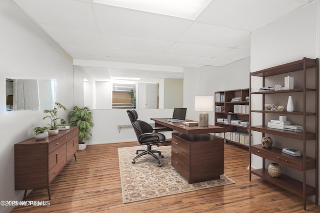 office area with a drop ceiling and wood finished floors