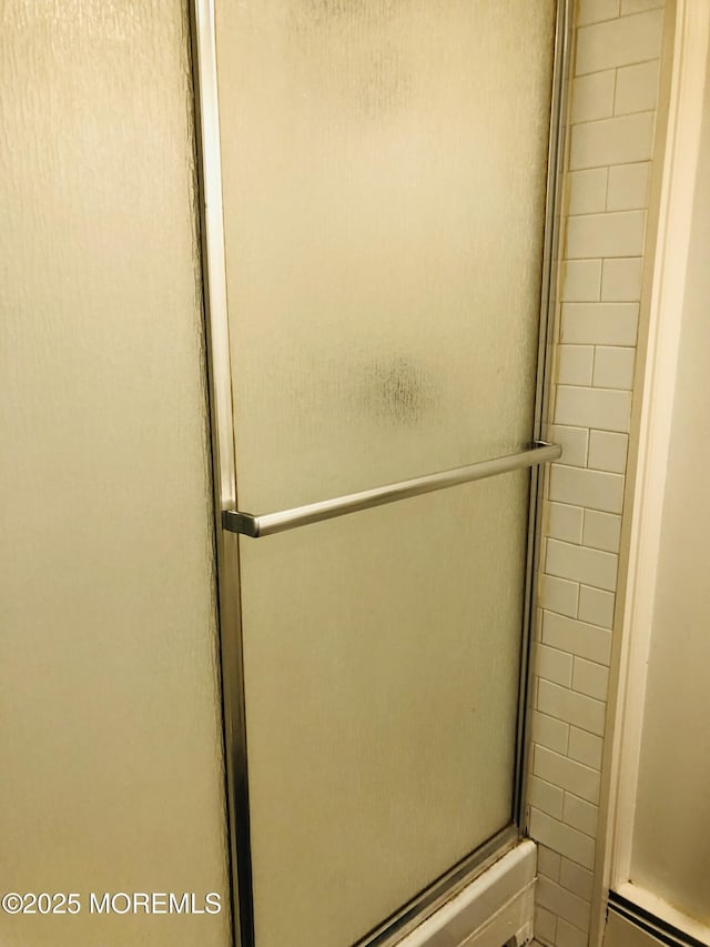 bathroom with a shower stall