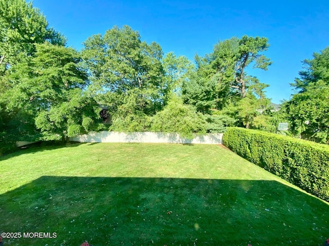 9 Darien Dr, West Long Branch, NJ 07764 - view of green lawn