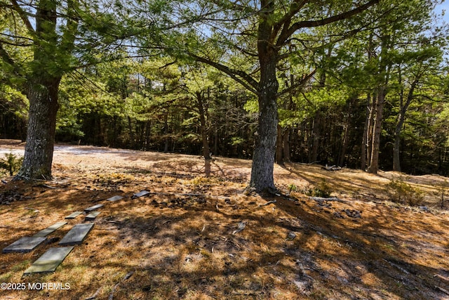 view of tree filled area