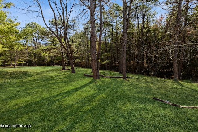 view of green lawn