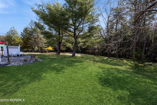 view of green lawn featuring a patio area