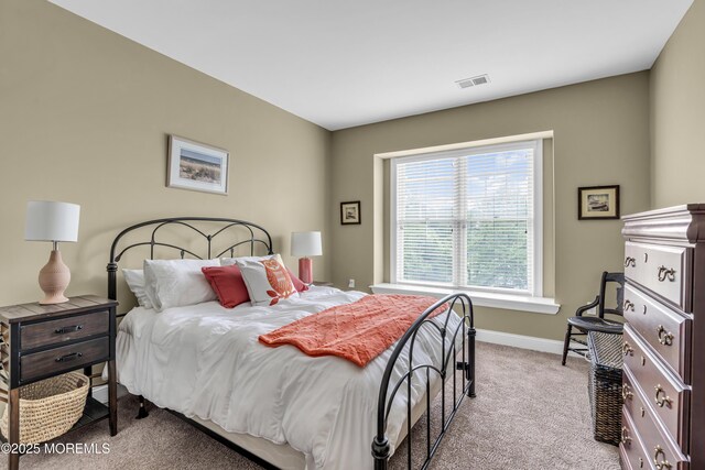 2210 Xanadu Ln, Wall, NJ 07719 - bedroom with carpet and baseboards