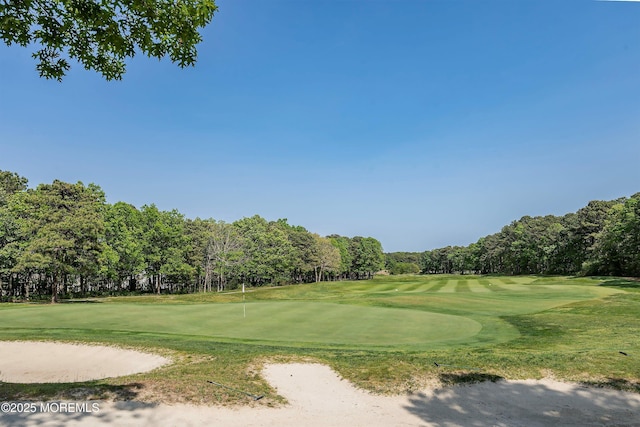 4 Augusta Dr, Little Egg Harbor, NJ 08087 - view of property's community featuring golf course view, a putting green, view of wooded area, and a yard
