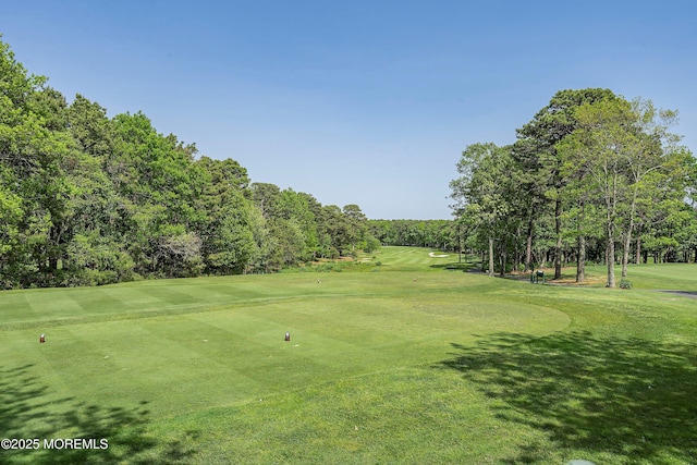 4 Augusta Dr, Little Egg Harbor, NJ 08087 - view of community with view of golf course, view of scattered trees, and a yard