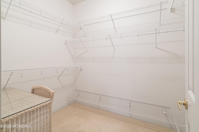 4 Augusta Dr, Little Egg Harbor, NJ 08087 - walk in closet with carpet