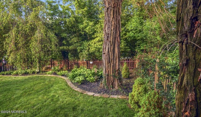 725 Province Line Rd, Allentown, NJ 08501 - view of yard
