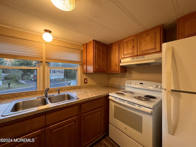 kitchen featuring white appliances, under cabinet range hood, a sink, brown cabinetry, and light countertops