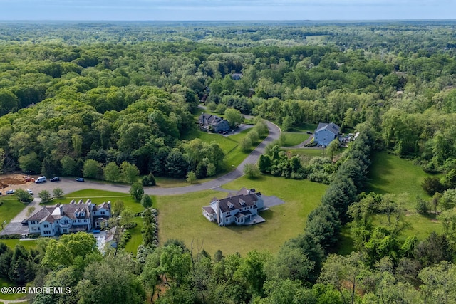 bird's eye view of a forest