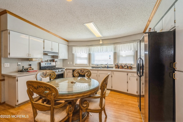 9 Copperfield Dr, Cream Ridge, NJ 08514 - kitchen featuring appliances with stainless steel finishes, under cabinet range hood, a textured ceiling, ornamental molding, and light countertops