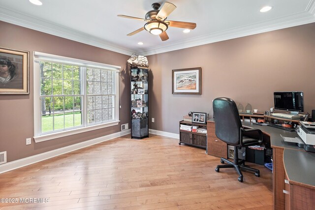 764 Reed Rd, Jackson, NJ 08527 - photo 8