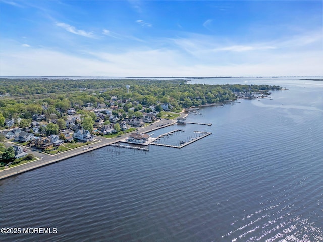 58 River Ave, Island Heights, NJ 08732 - aerial view of a large body of water