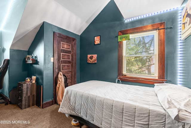 329 Hollywood Ave, Long Branch, NJ 07740 - bedroom with carpet and lofted ceiling