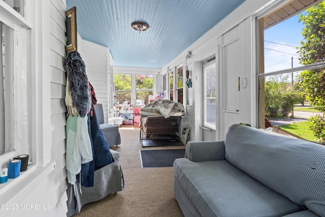 329 Hollywood Ave, Long Branch, NJ 07740 - sunroom with carpet floors, plenty of natural light, and an outdoor hangout area