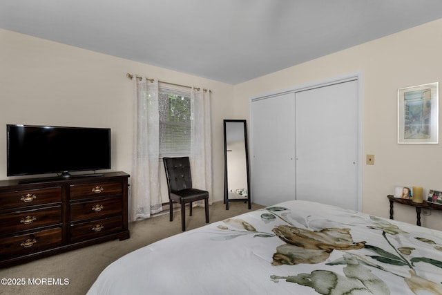 2A Jackson Ct, Whiting, NJ 08759 - bedroom with carpet flooring and a closet
