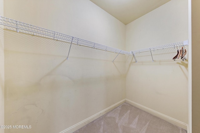 7 Spring Lake Ct, Barnegat, NJ 08005 - walk in closet with carpet floors