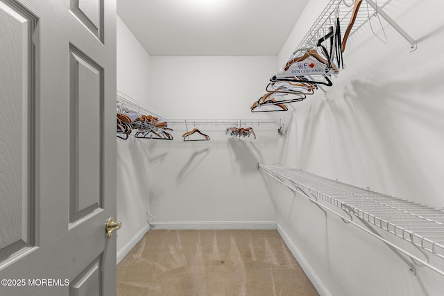 7 Spring Lake Ct, Barnegat, NJ 08005 - walk in closet featuring light carpet