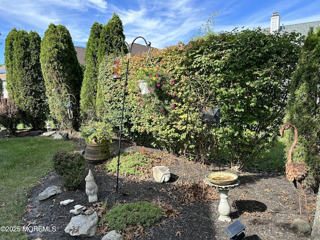 7 Spring Lake Ct, Barnegat, NJ 08005 - view of yard