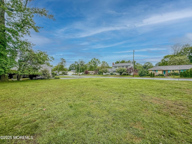 view of grassy yard