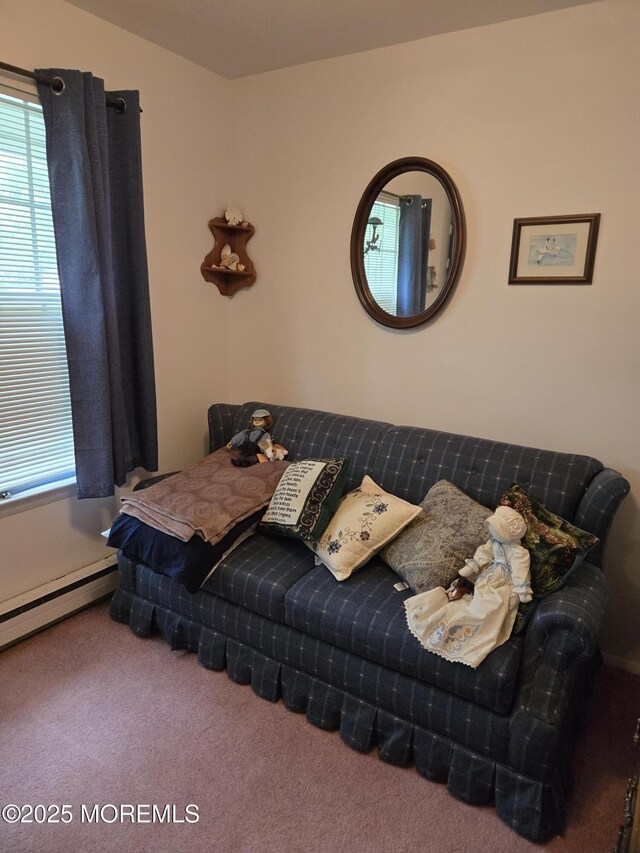 439D Chesterfield Ct, Manchester, NJ 08759 - carpeted bedroom with multiple windows and baseboard heating