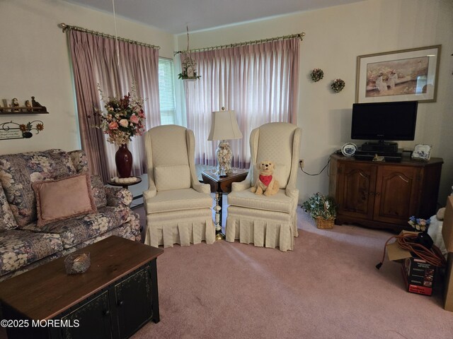 439D Chesterfield Ct, Manchester, NJ 08759 - view of carpeted living room