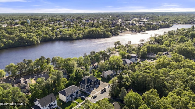 821 Woodland Dr, Lakewood, NJ 08701 - aerial perspective of suburban area with a nearby body of water and a forest