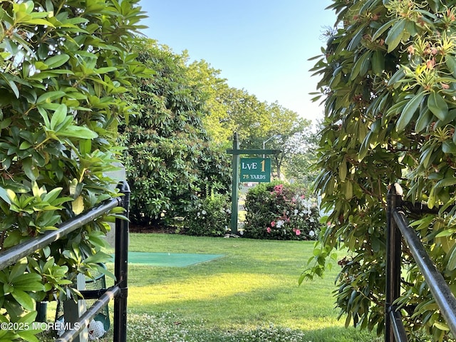 1164B Argyll Cir, Lakewood, NJ 08701 - view of green lawn