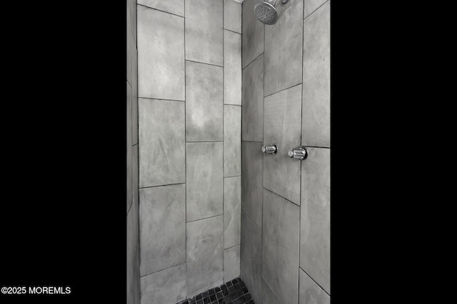 full bathroom with a tile shower